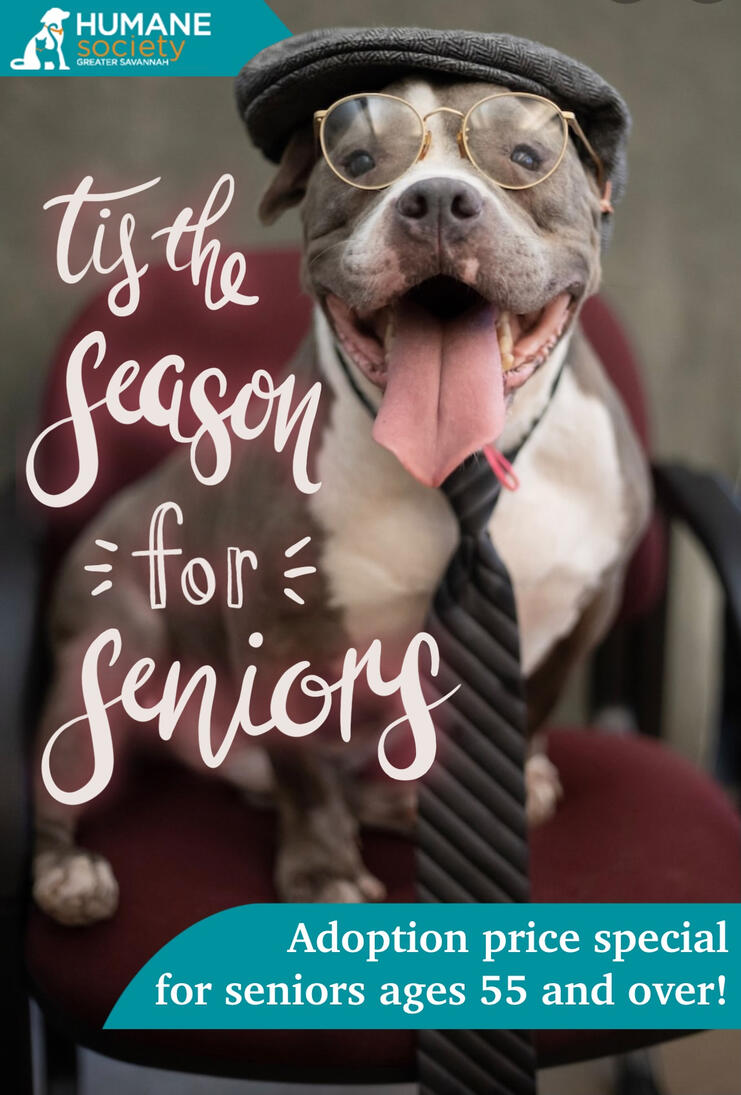 Humane Society for Greater Society Promo